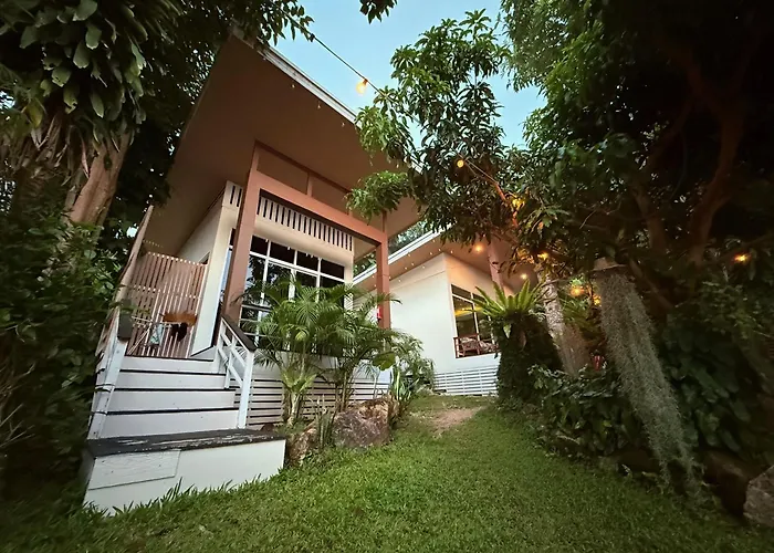 Beach Jungle